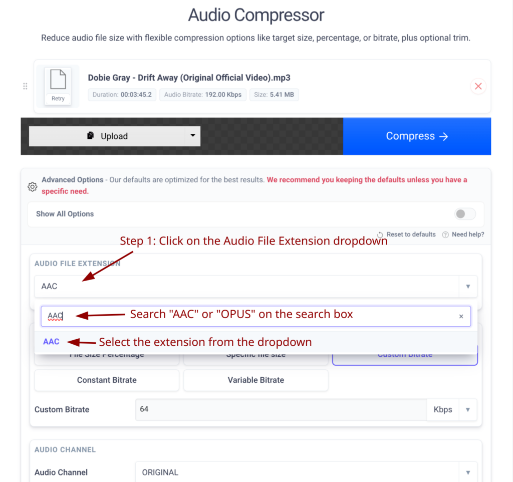 A screenshot of "Audio File Extension" grid with "AAC" button highlighted to visually guide users toward the most efficient formats.