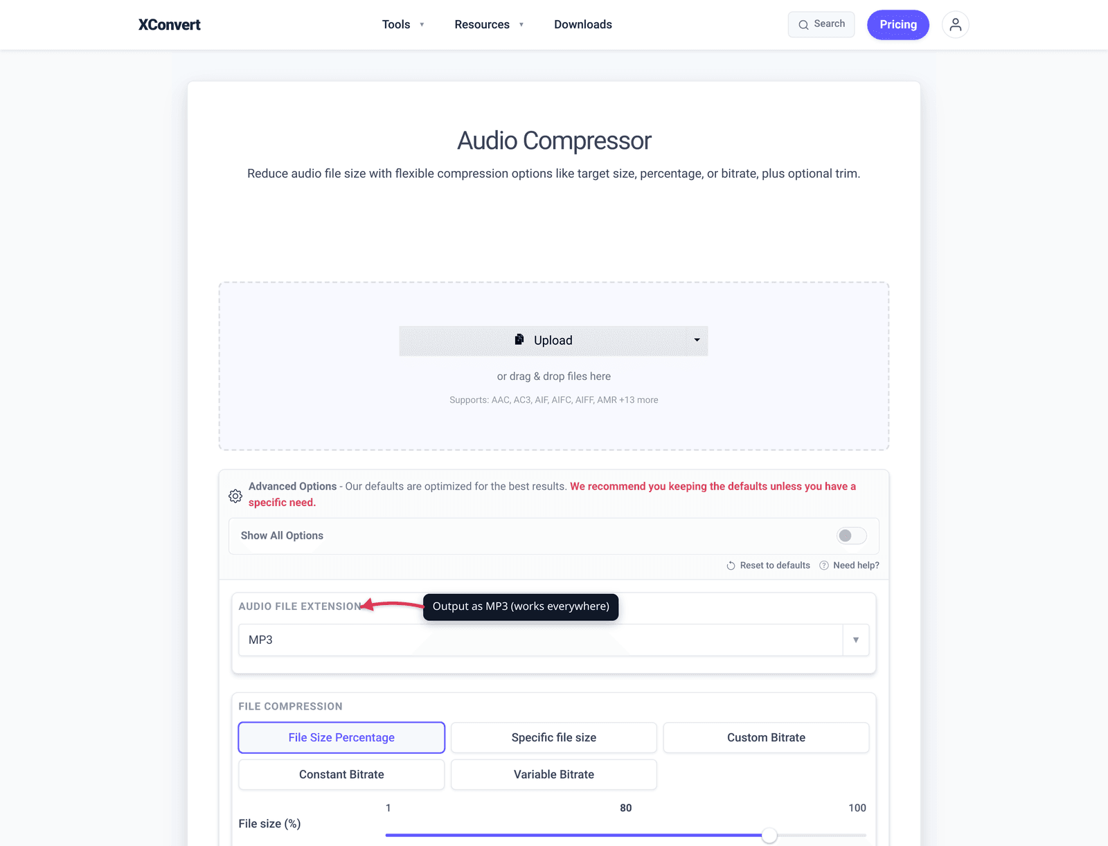 Audio compressor with MP3 selected as the output format for converting iPhone M4A voice memos to a smaller, more compatible format