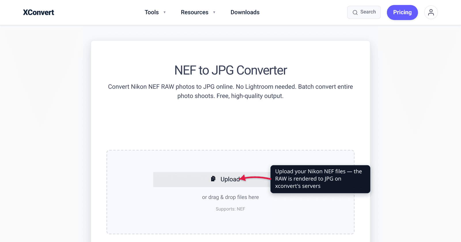 The xconvert NEF to JPG converter at /convert-nef-to-jpg with the + Add Files button highlighted — upload your Nikon RAW files to convert them to JPG.