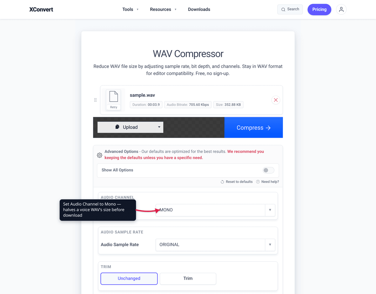 Set Audio Channel to Mono — halves a voice WAV's size before download