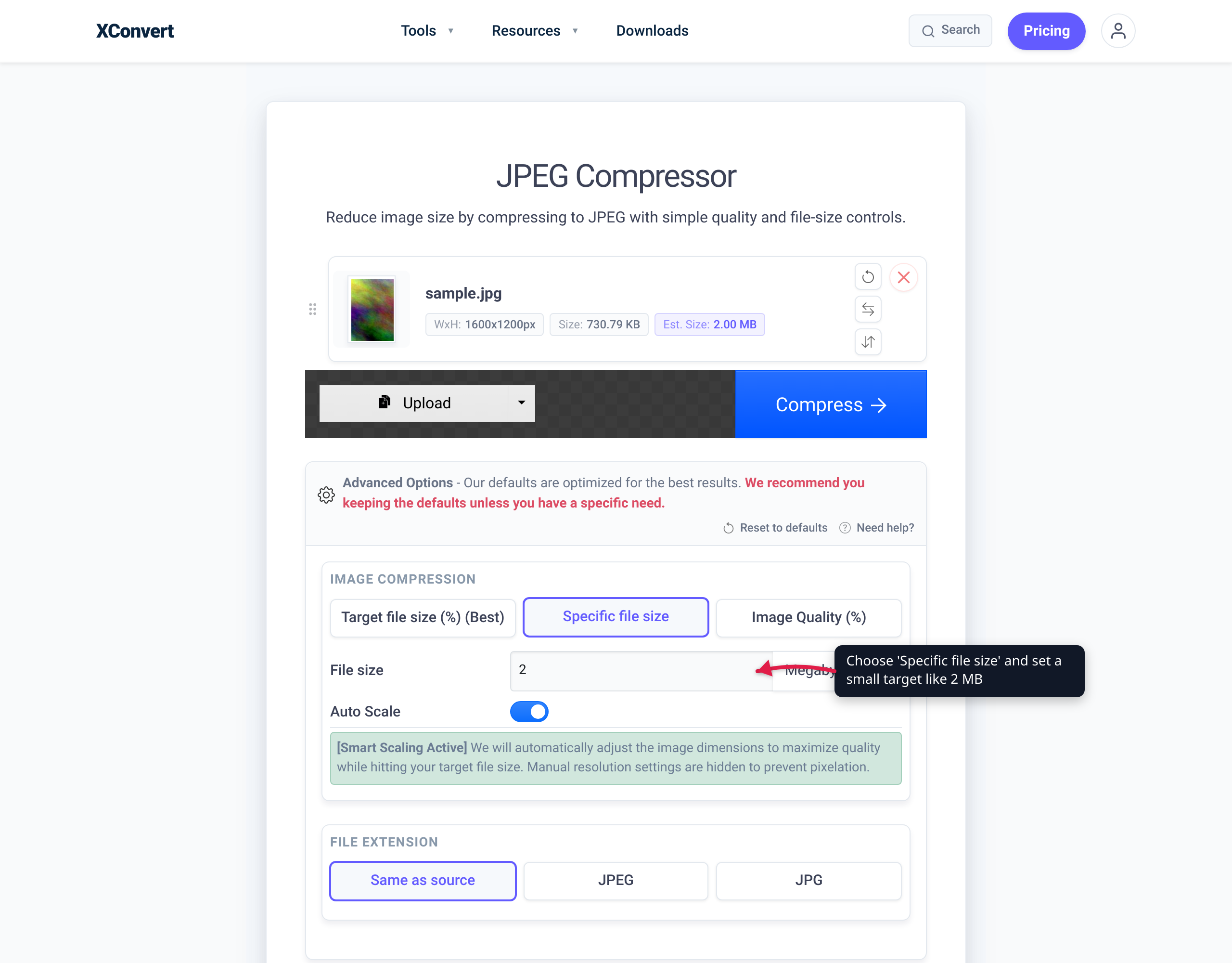 The xconvert JPEG compressor with a photo loaded, 'Specific file size' selected and a 2 MB target entered