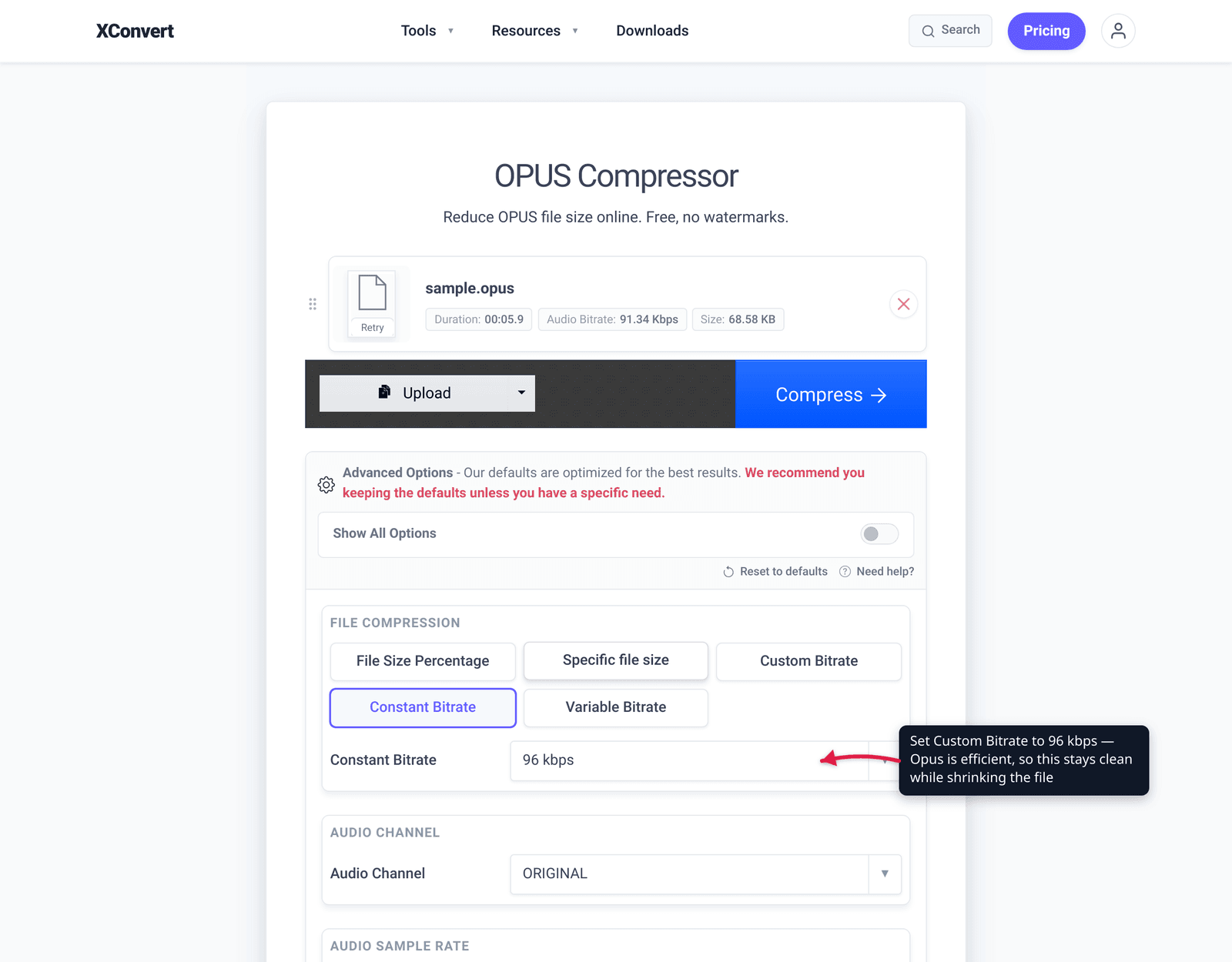 Set Custom Bitrate to 96 kbps — Opus is efficient, so this stays clean while shrinking the file