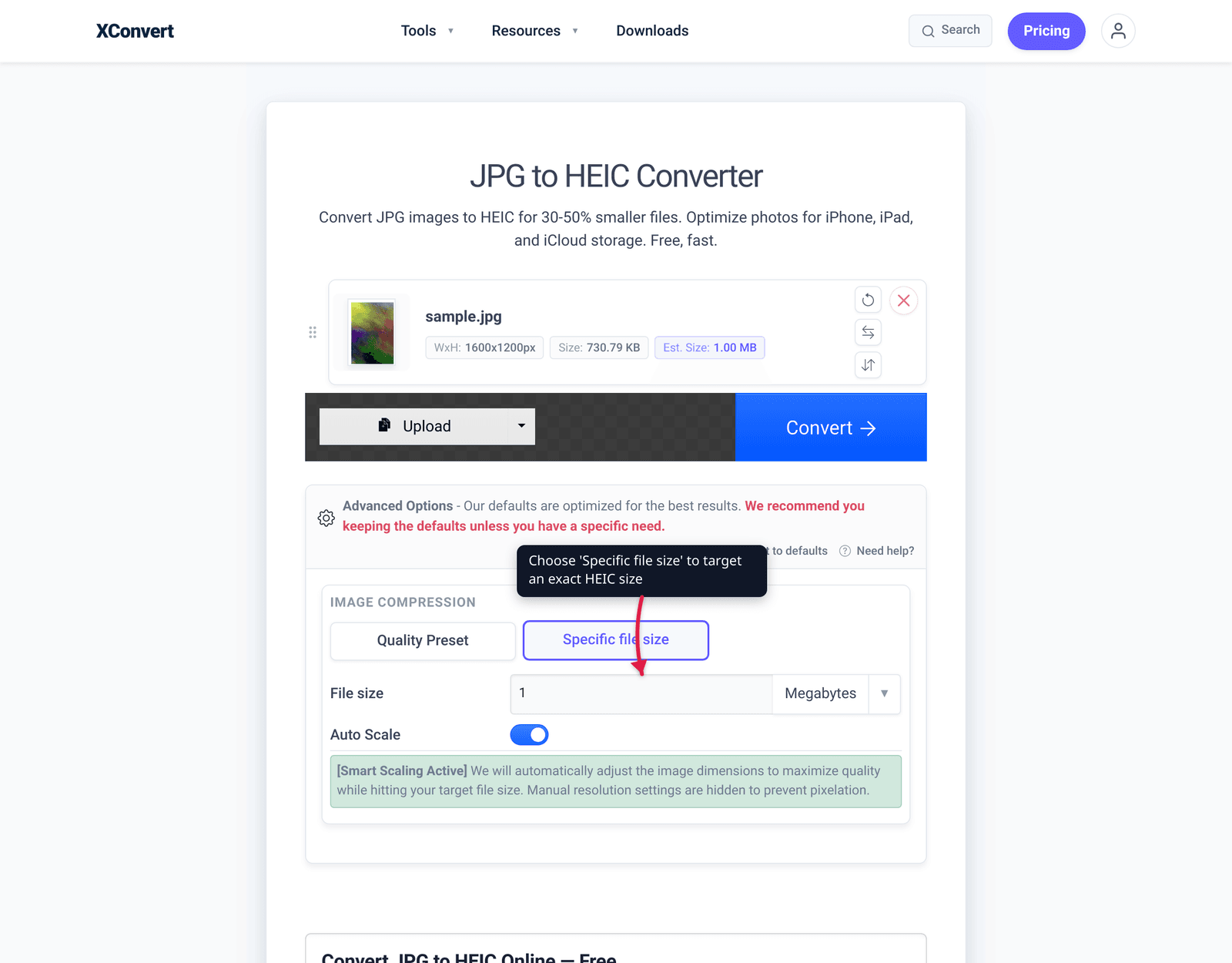 Choose 'Specific file size' to target an exact HEIC size