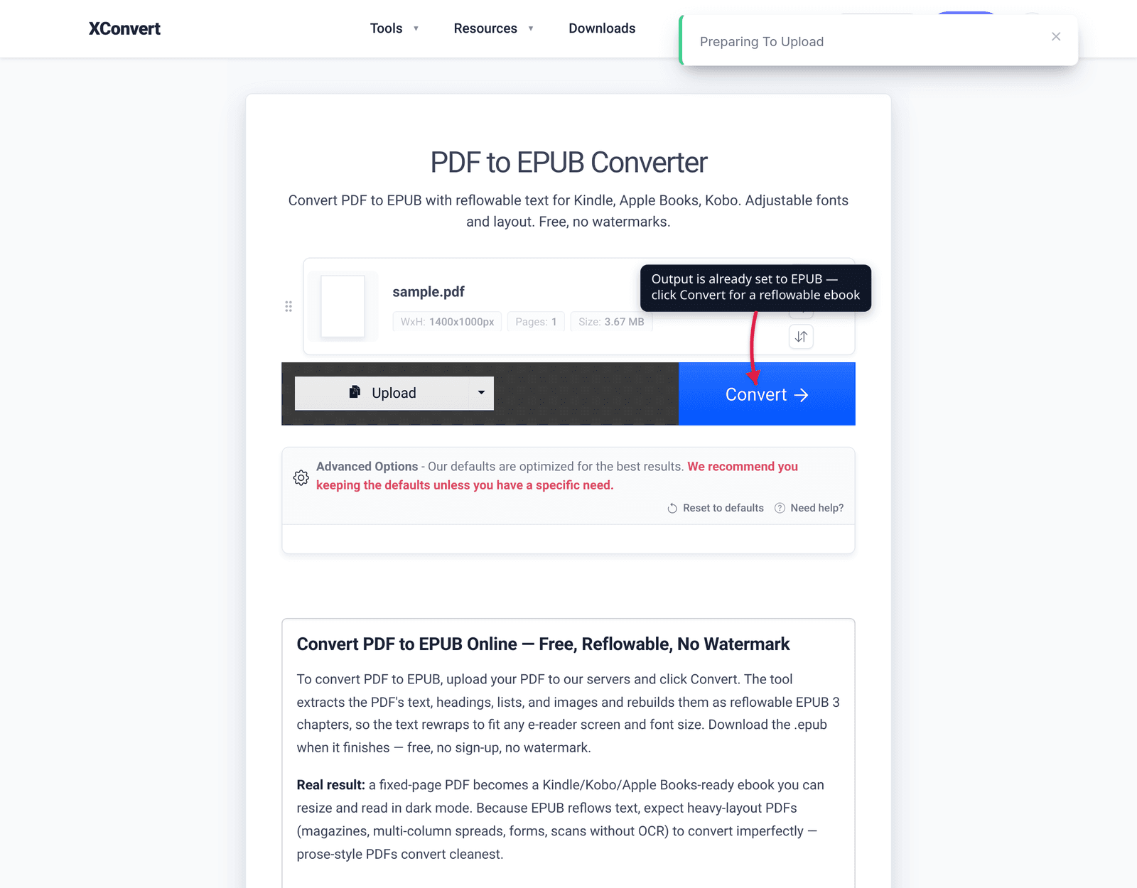 Output is already set to EPUB — click Convert for a reflowable ebook