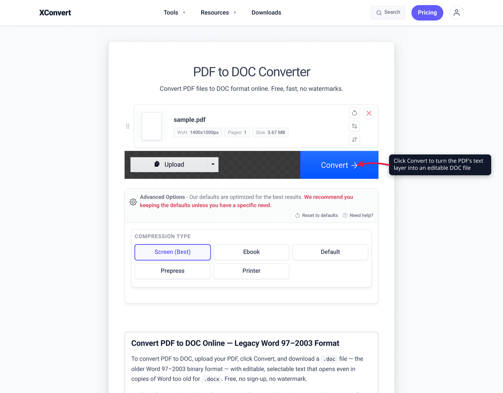 Click Convert to turn the PDF's text layer into an editable DOC file